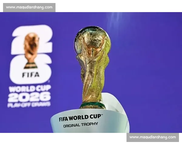 北美的热情召唤，2026世界杯谁是东道主的最大赢家