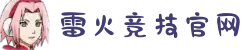雷火·竞技(中国)-全球领先的电竞赛事平台